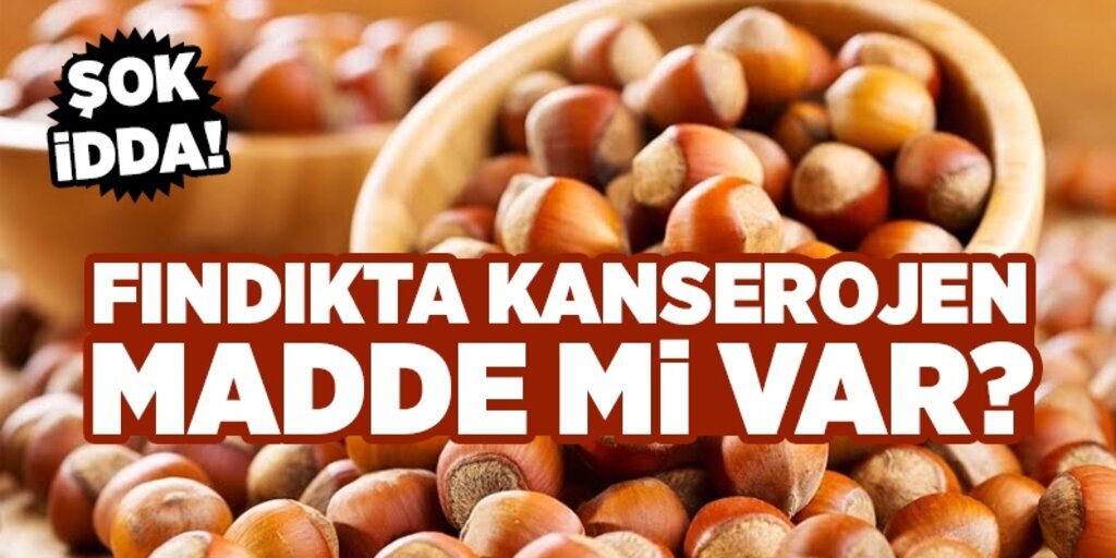 'Fındıkta kanserojen madde iddiasını inandırıcı bulmuyoruz'