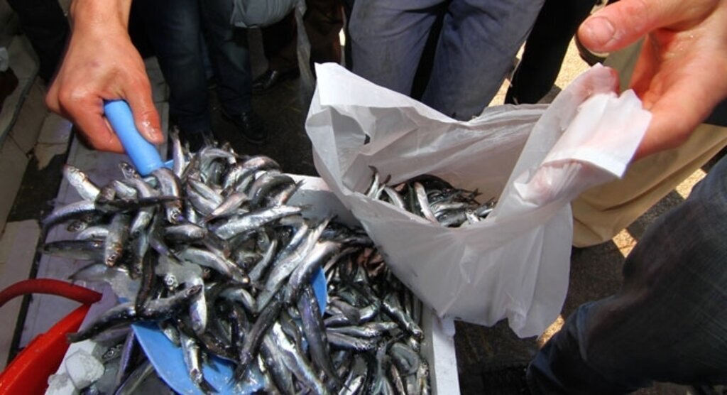 Fırtınanın ardından tezgahlar hamsiyle şenlendi