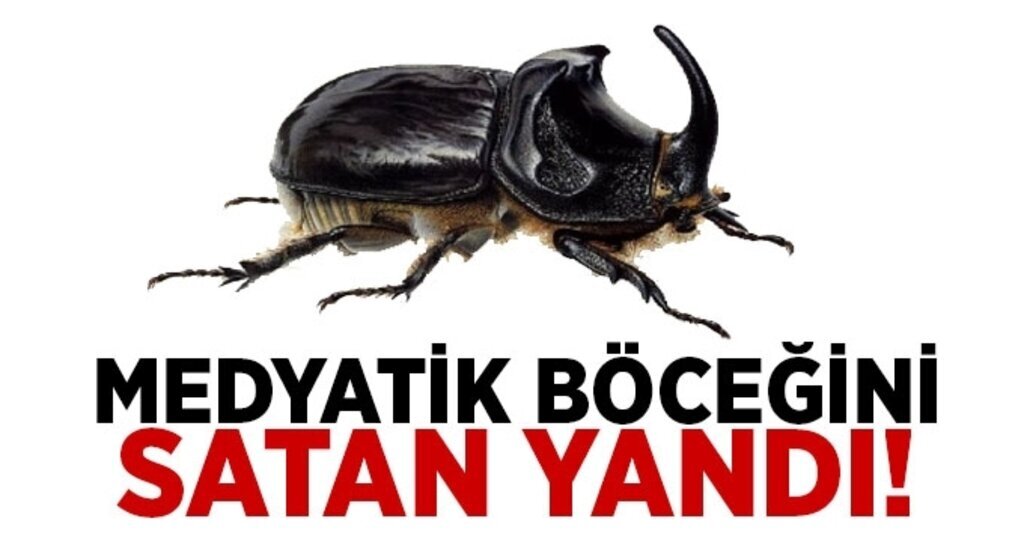 Gergedan böceği ticareti yapanlara para cezası geliyor