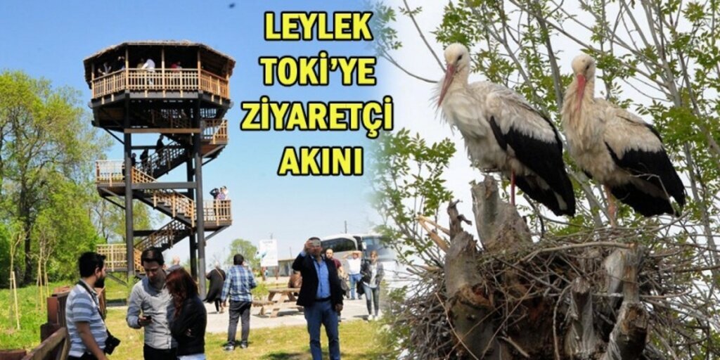 Göçmen Leylekler Konaklama Merkezi'ne ziyaretçi akını