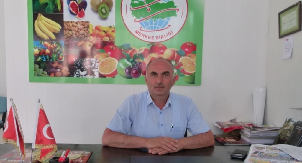 Gülal: ' 2015 yılında fındık rekoltesi 600 bin tonun altında olacak'