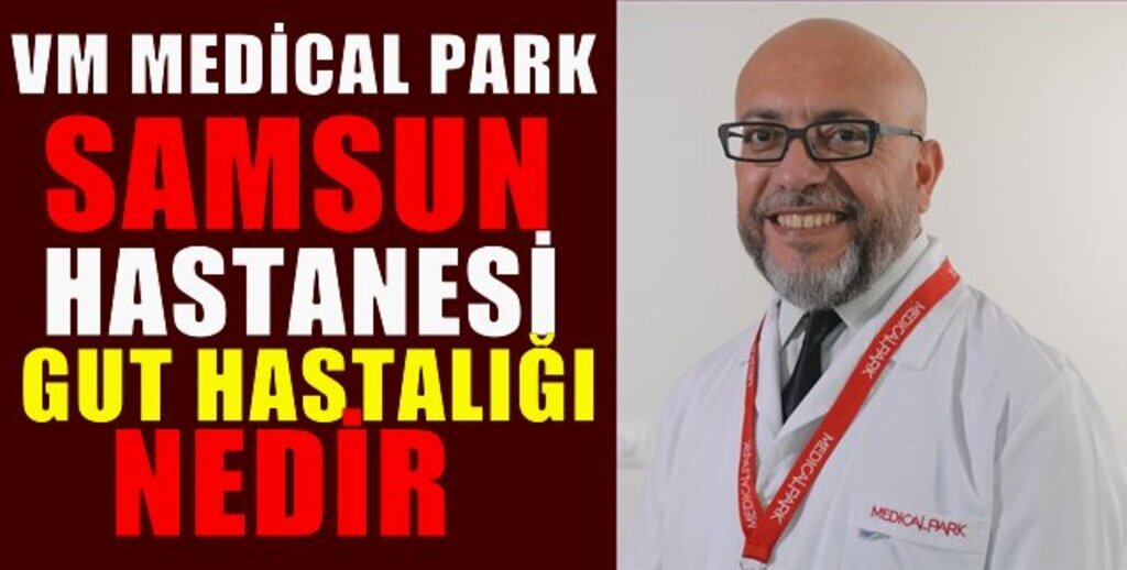 Gut Hastalığının Tedavisi Mümkün