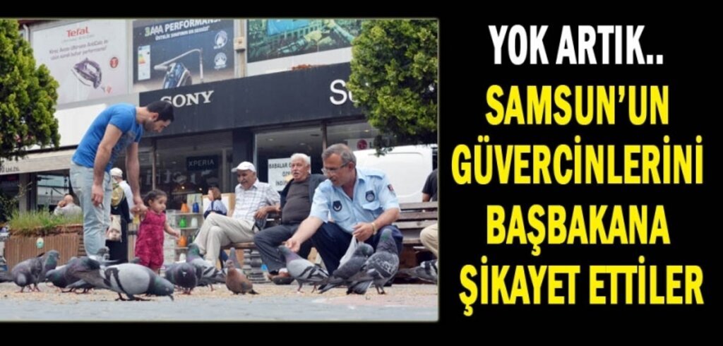 Güvercinleri BİMER'e şikayet ettiler