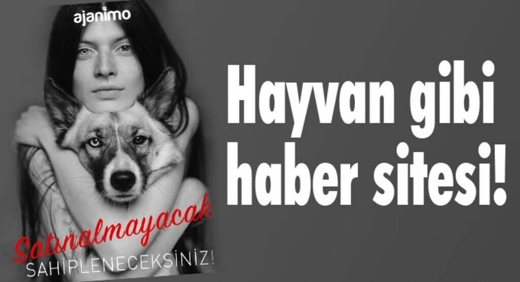Hayvan gibi haber sitesi!