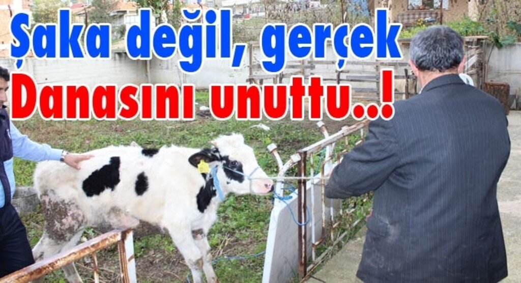 Hayvan pazarında unutulan dana, 4 gün sonra sahibine teslim edildi