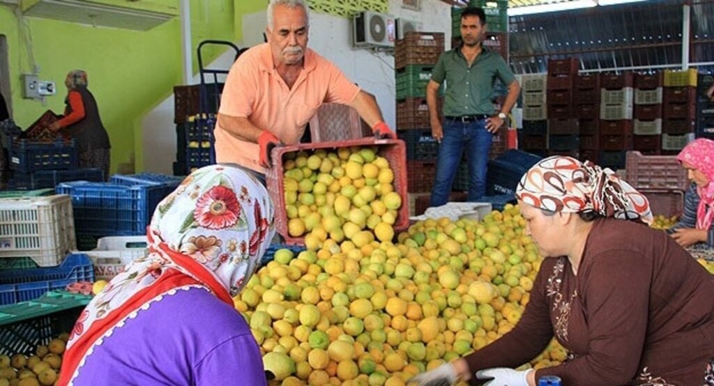 Haziranda en çok limonun fiyatı arttı