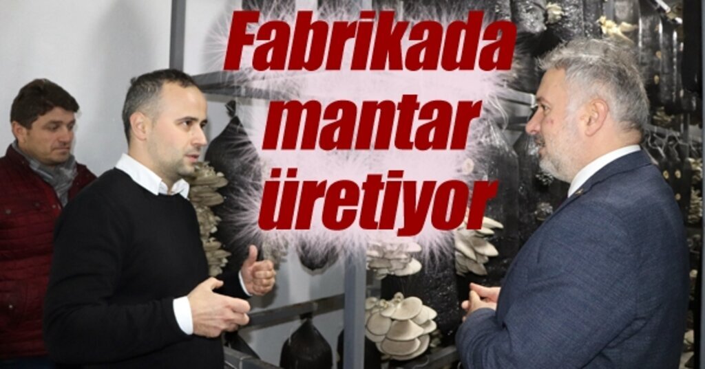 Hibe desteğiyle Ayvacık'a mantarı üretim fabrikası açtı