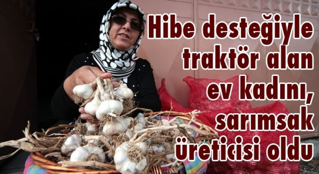 Hibe desteğiyle sarımsak üreticisi oldu