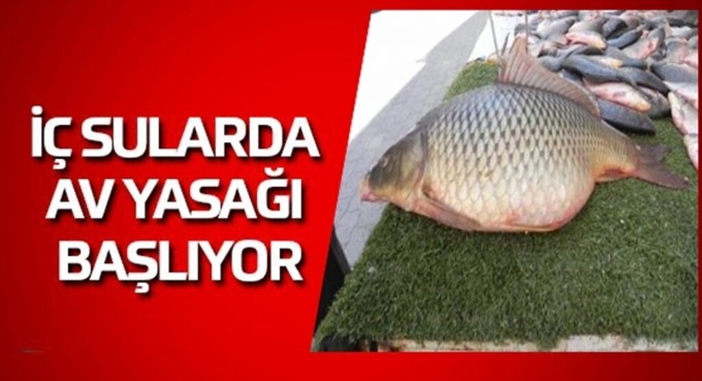 İç sularda av yasağı ne zaman başlıyor?