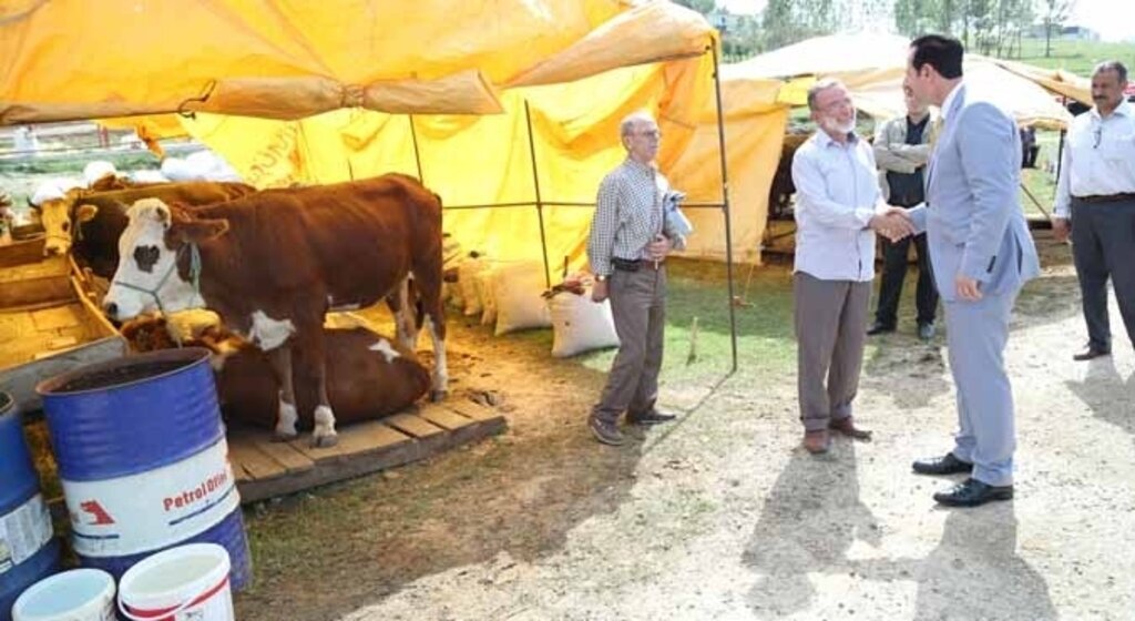 İlkadım Belediyesi kurbana hazır