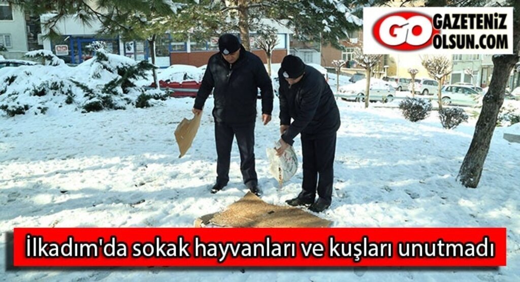 İlkadım'da sokak hayvanları ve kuşları unutmadı