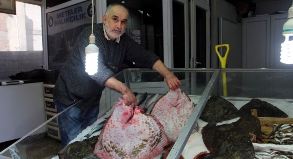 Kalkan balığına 'bakan çok, alan yok'