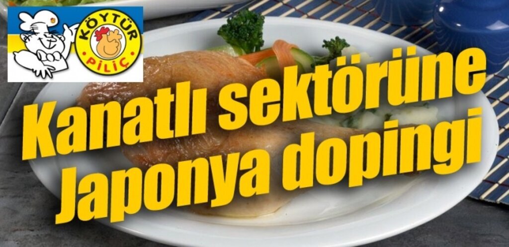 Kanatlı sektöründe Samsun'da Japonya ihracatı vizesi aldı