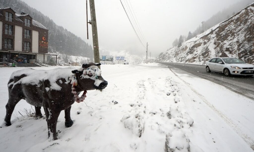 Kar yağışı nedeniyle bir çok ilde okullar tatil edildi