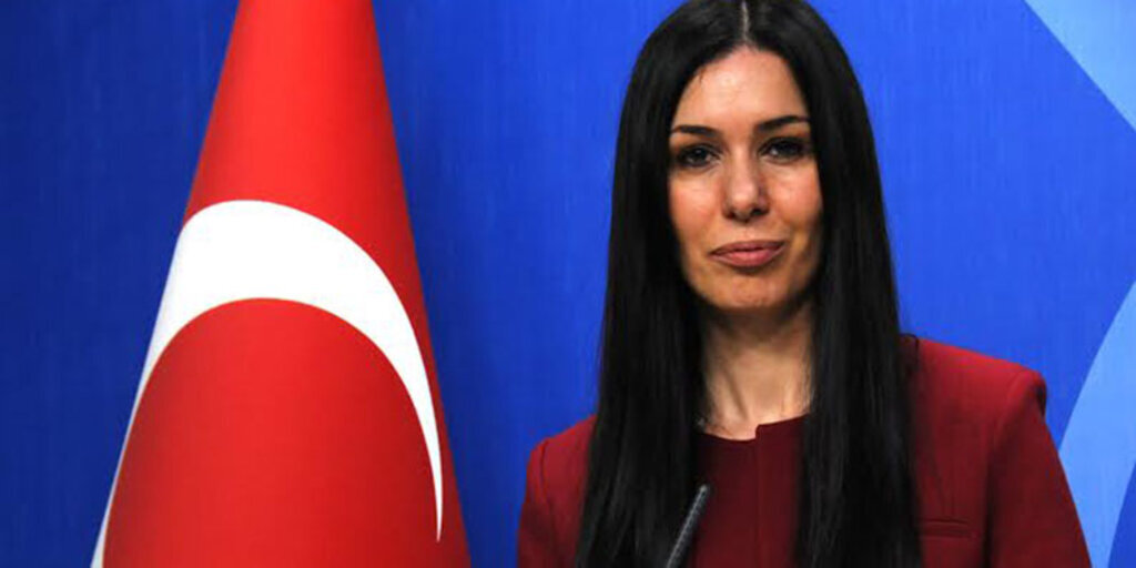 Karaaslan: 'OHAL gündelik hayatı etkilemeyecek'