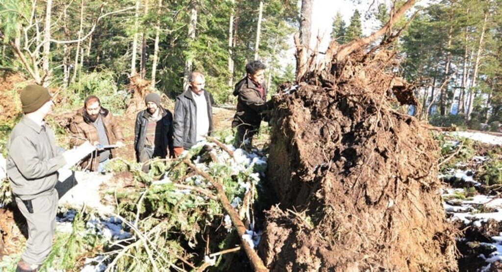 Kastamonu'daki fırtına sonucu