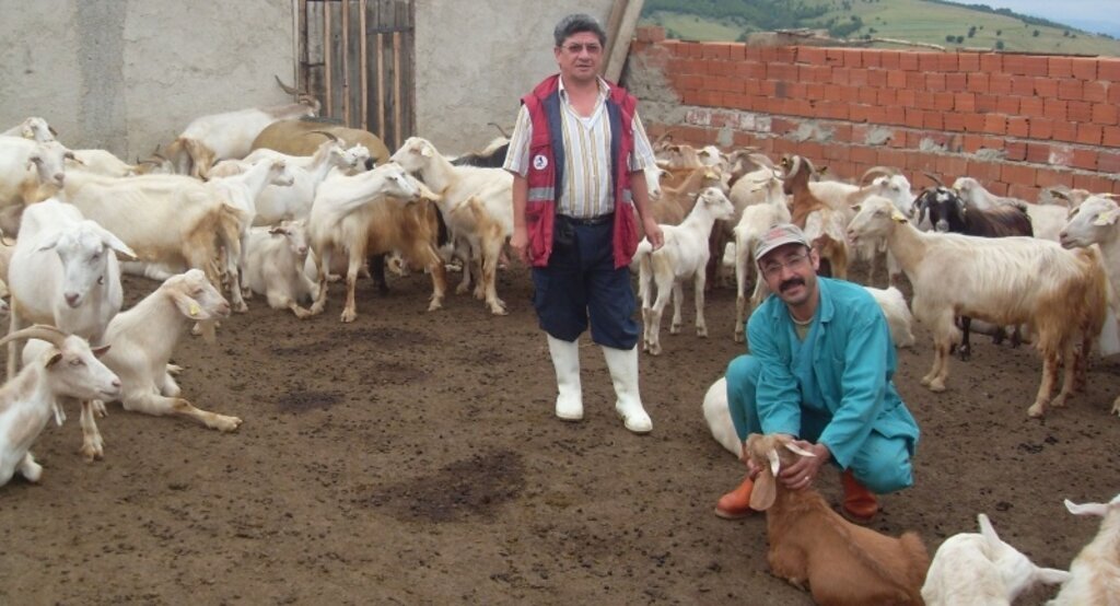 Kavak Gıda, Tarım ve Hayvancılık Müdürlüğünün faaliyetleri