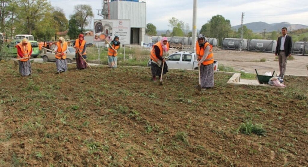 Kavak'a Kadın Eli Değdi