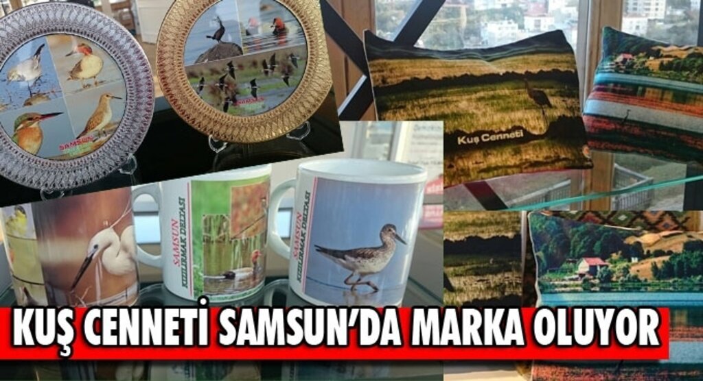 Kızılırmak Deltası Kuş Cenneti marka oluyor