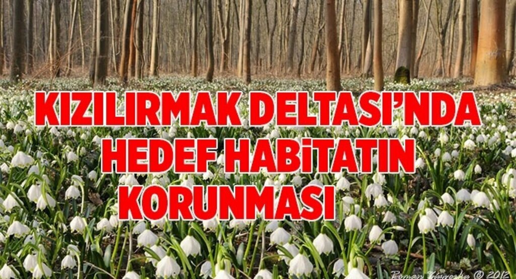 Kızılırmak Deltası’nda hedef habitatın korunması