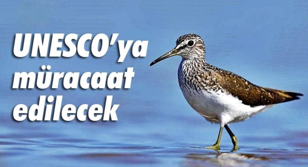 Kızılırmak Kuş Cenneti, Dünya Mirası Listesi’ne girmeye hazırlanıyor