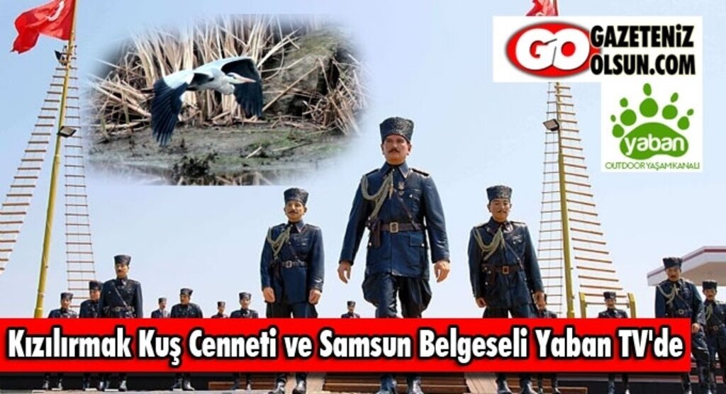 Kızılırmak Kuş Cenneti ve Samsun Belgeseli Yaban TV'de