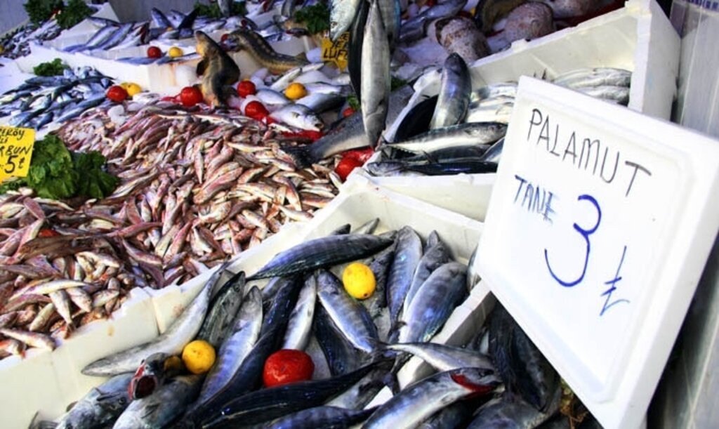 Kurban bayramı balıkçıları ise üzdü!