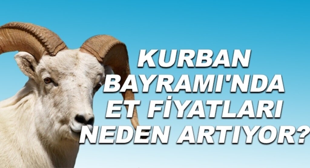 Kurban Bayramı'nda et fiyatları neden artıyor?