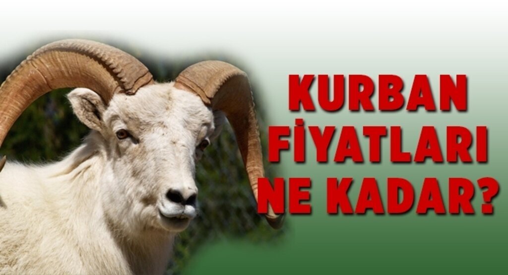Kurban fiyatları ne kadar ?
