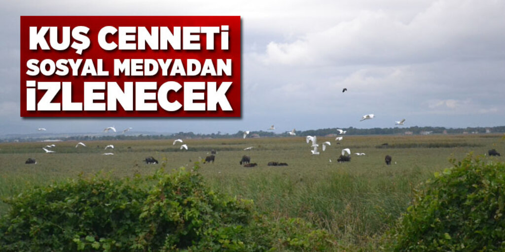 Kuş cenneti sosyal medyadan izlenecek