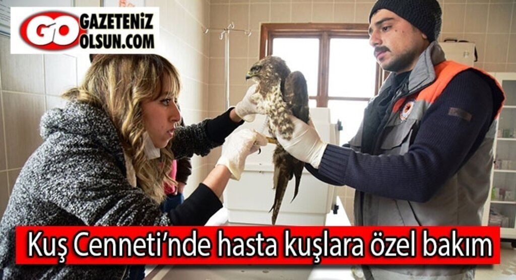 Kuş Cenneti’nde hasta kuşlara özel bakım