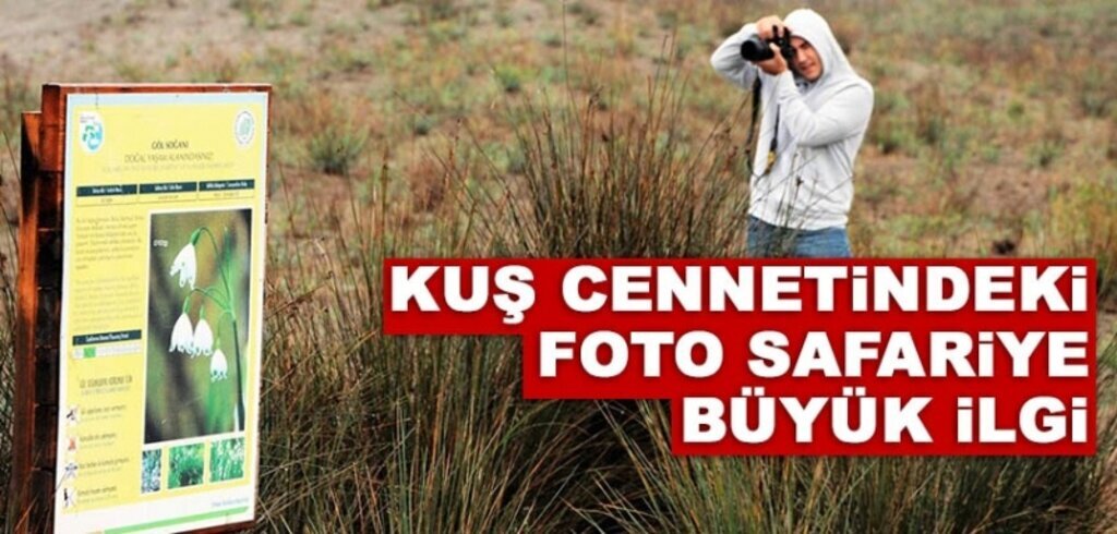 Kuş cennetindeki foto safariye büyük ilgi