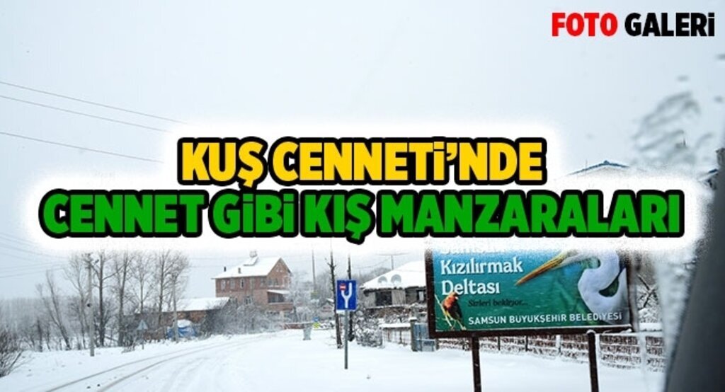 Kuş Cenneti'nden Cennet gibi kış manzaraları