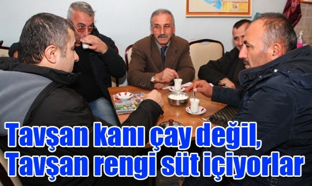 Ladikliler çaydan çok sütü tercih ediyorlar