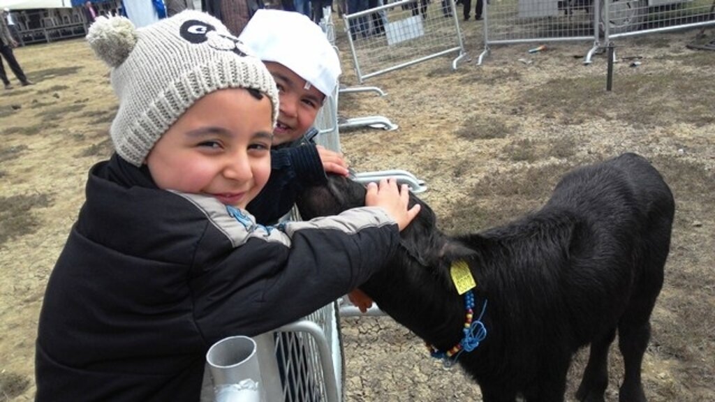 Mandalar Deltaya Festivalle Salındı