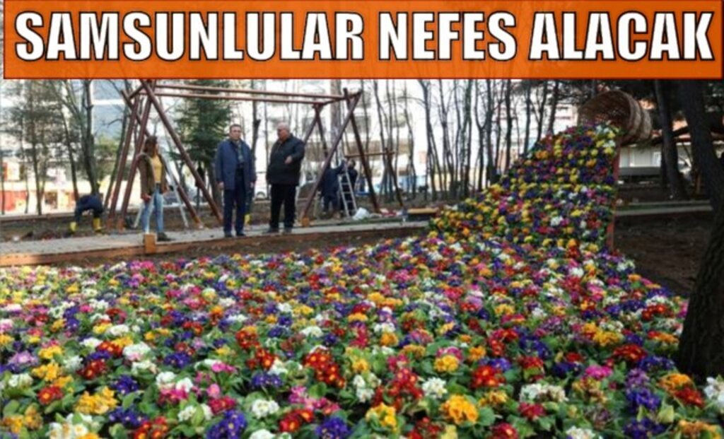 Meşe Orman park çiçek açtı