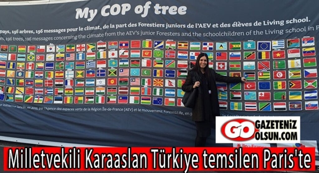 Milletvekili Karaaslan Türkiye temsilen Paris'te