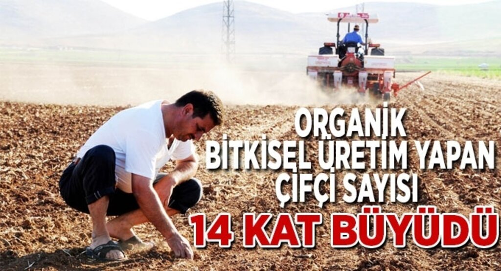 Organikleşmede büyük rekor
