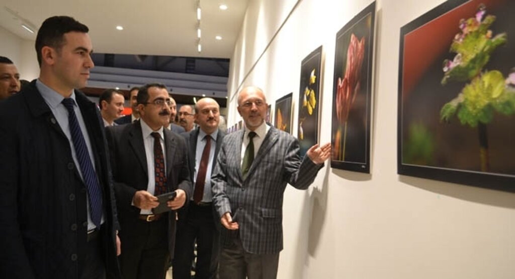 Orman Haftası TEMA Vakfı ile Piazza'da kutlanıyor