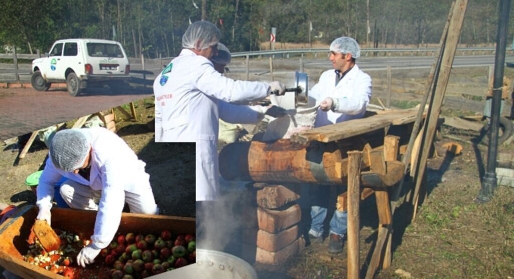 Ormandaki elmalar doğal pekmeze dönüşüyor