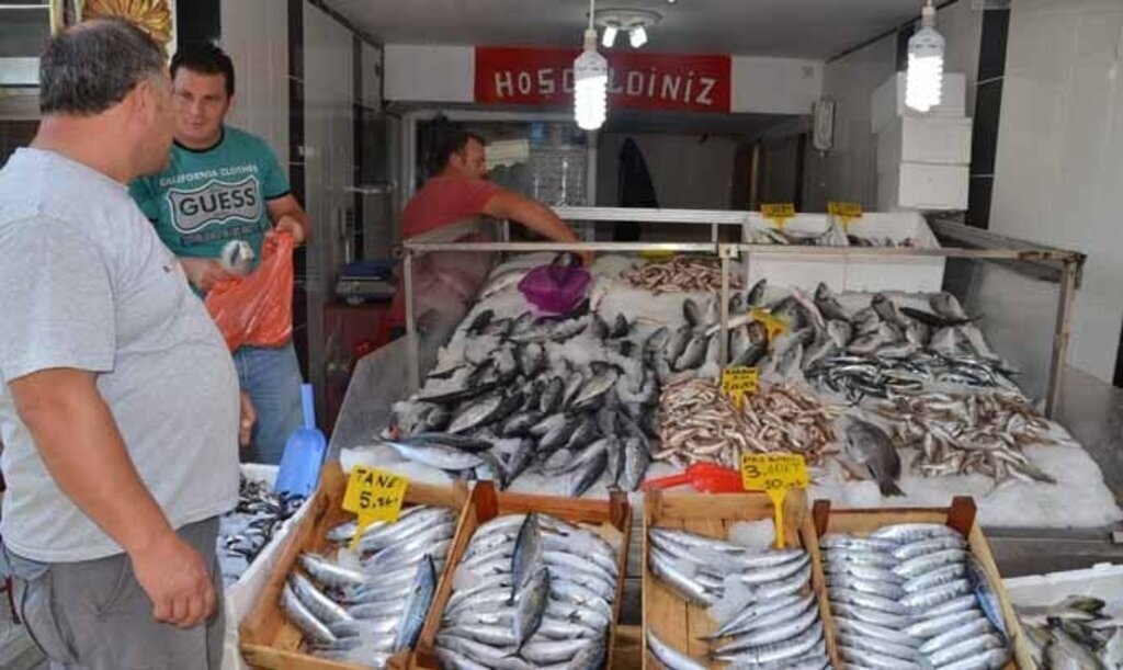 Palamut balıkçıların yüzünü güldürdü