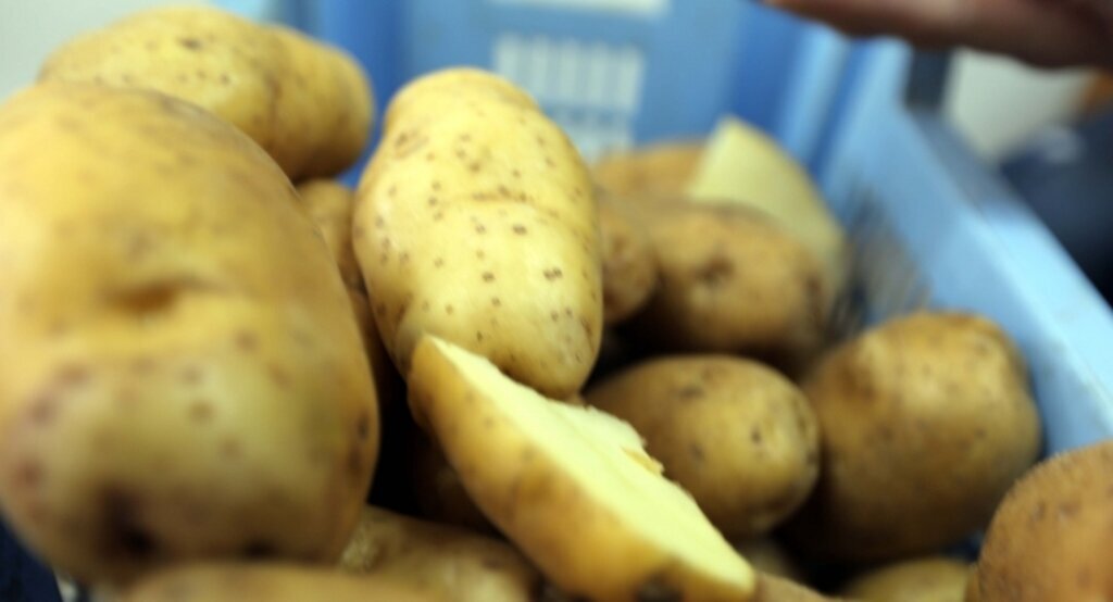 Patateste makul fiyat için yıllık 5 milyon ton üretim şart