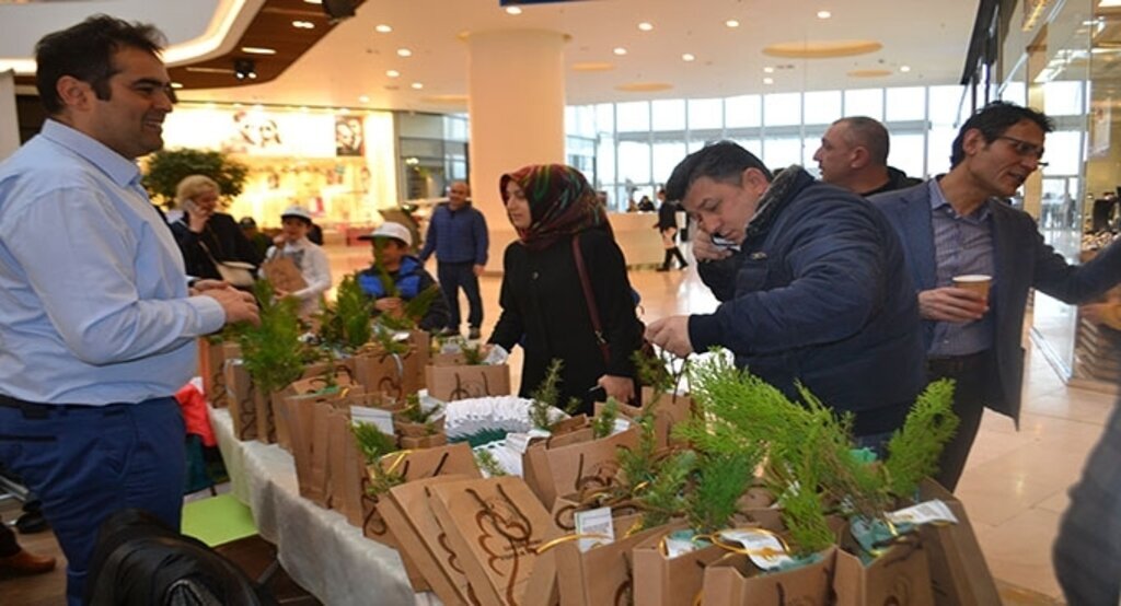 Piazza’da fidan dağıtımı