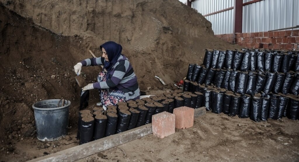 Plaket yerine fidan önerisi, üretim merkezlerini hareketlendirdi