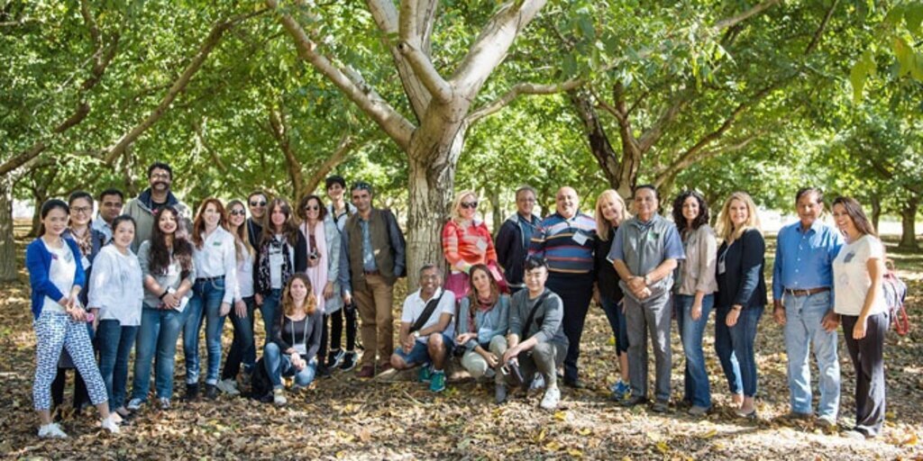 Sağlığımız için cevizin farkı ve önemi 