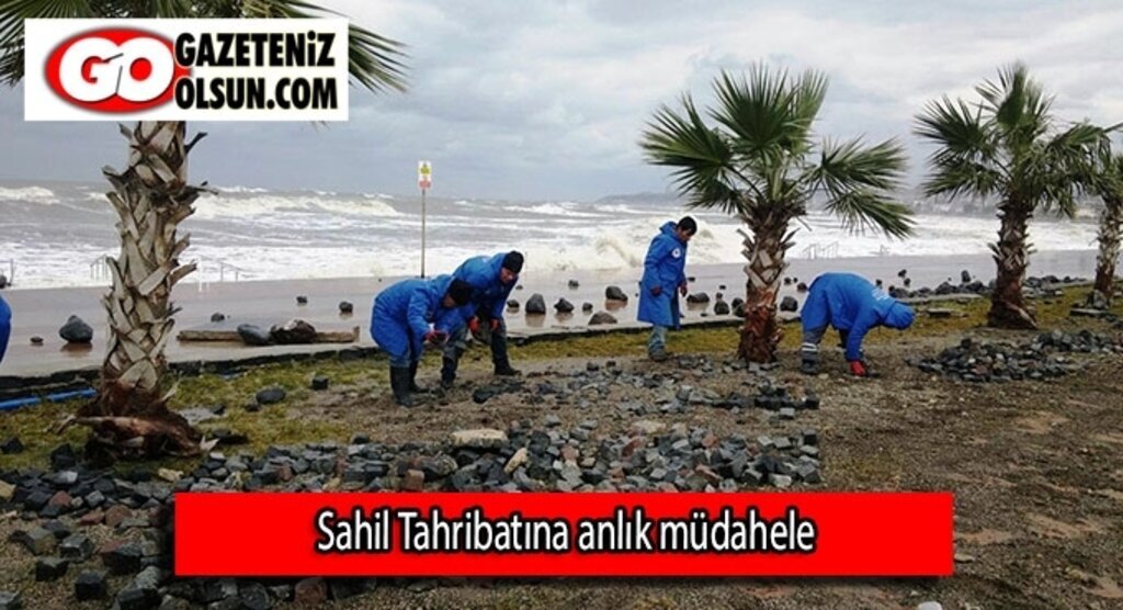 Sahil Tahribatına anlık müdahele