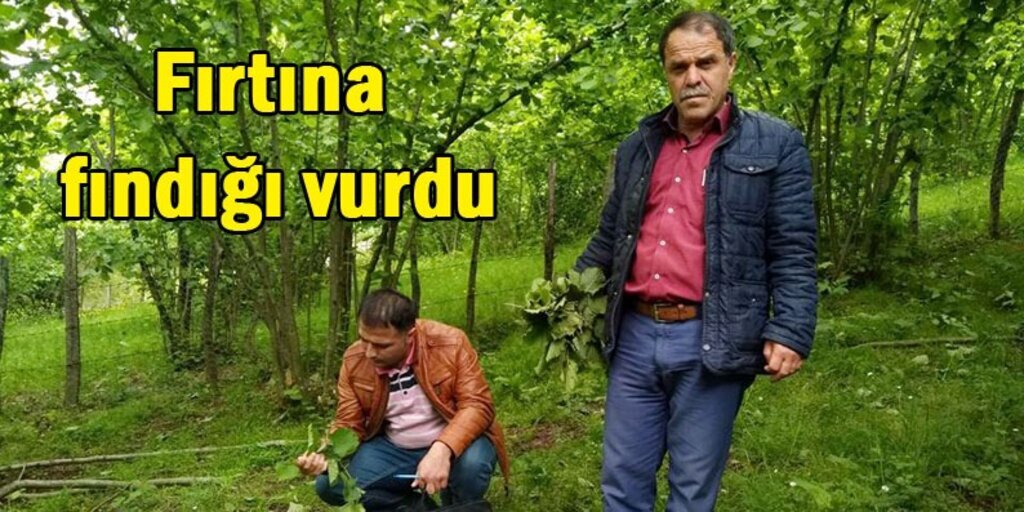 Salıpazarı'nda etkili olan fırtına fındığı vurdu