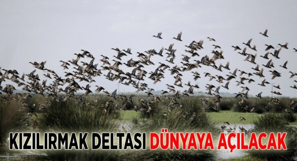 Samkuş ilk toplantısını gerçekleştirdi: ‘Kızılırmak deltası dünyaya açılacak’