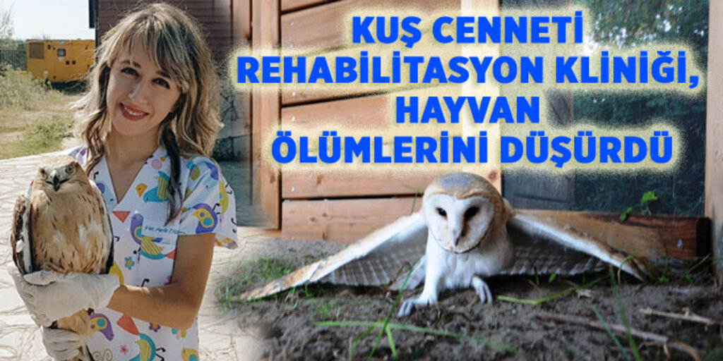 Samsun Büyükşehir Belediyesi’den hayvanlara ilkyardım