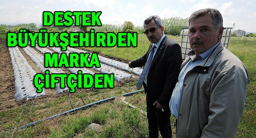 Samsun Büyükşehir Belediyesi'nden çiftçilere büyük destek